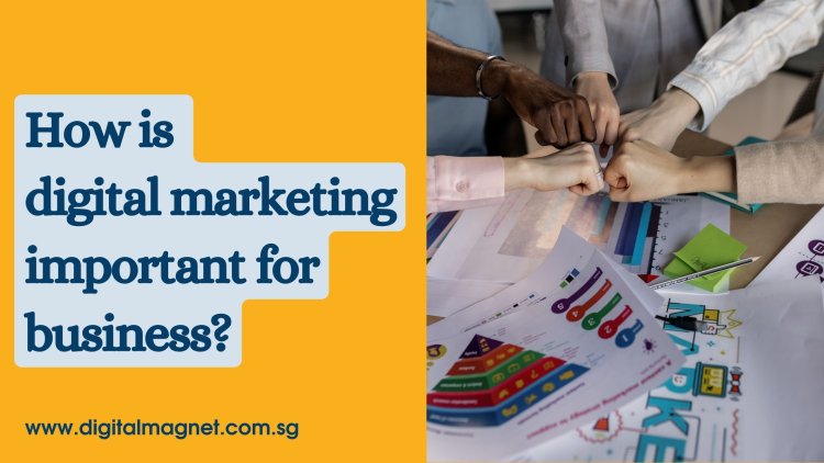 How is digital marketing important for business?